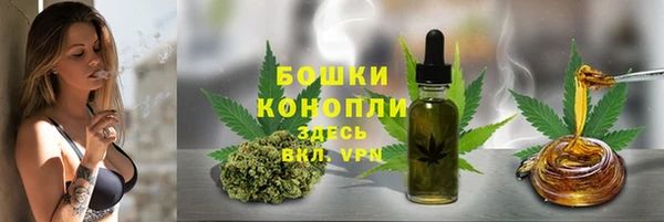 бошки Горняк