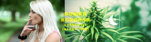 бошки Горняк