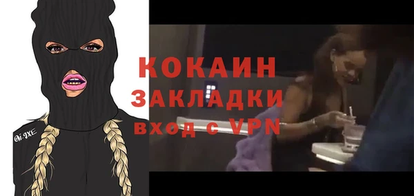 бошки Горняк
