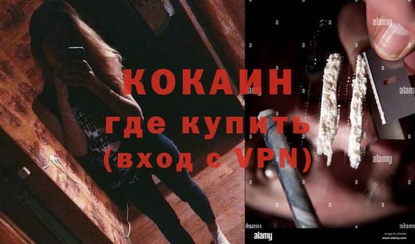 ALPHA PVP Горнозаводск