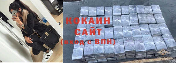 бошки Горняк