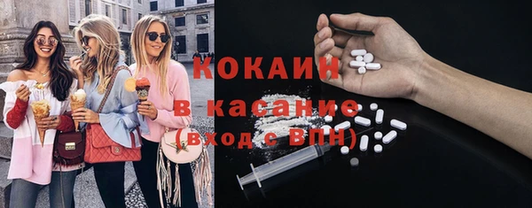 бошки Горняк