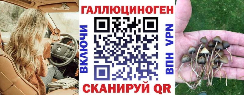 Галлюциногенные грибы Cubensis Вологда